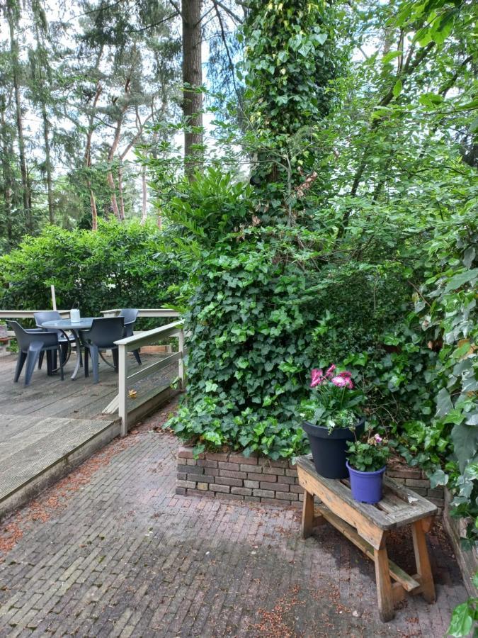 Vogelzang Villa Hattemerbroek Eksteriør bilde
